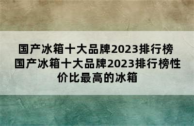 国产冰箱十大品牌2023排行榜 国产冰箱十大品牌2023排行榜性价比最高的冰箱